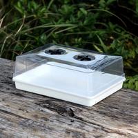 Plateau de germination pour plantes de jardinage à 20 cellules, supports de rangement carrés en plastique pour pots de 5 cm avec couvercle transparent
