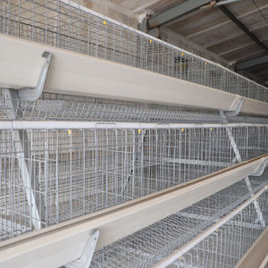 Concurrerende Prijs A-Vorm 160 Ei Kip Automatische Kooi-Uitrusting Nieuwe Staat Afrikaanse Pluimveebedrijf Kippenfokkerij - Product Image 2