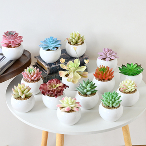 Bonsái Suculento de Cerámica Ecológico de Alta Simulación, Adornos Decorativos para el Hogar, Plantas Artificiales de Jinhua, <span class=keywords><strong>AliExpress</strong></span> - Product Image 1