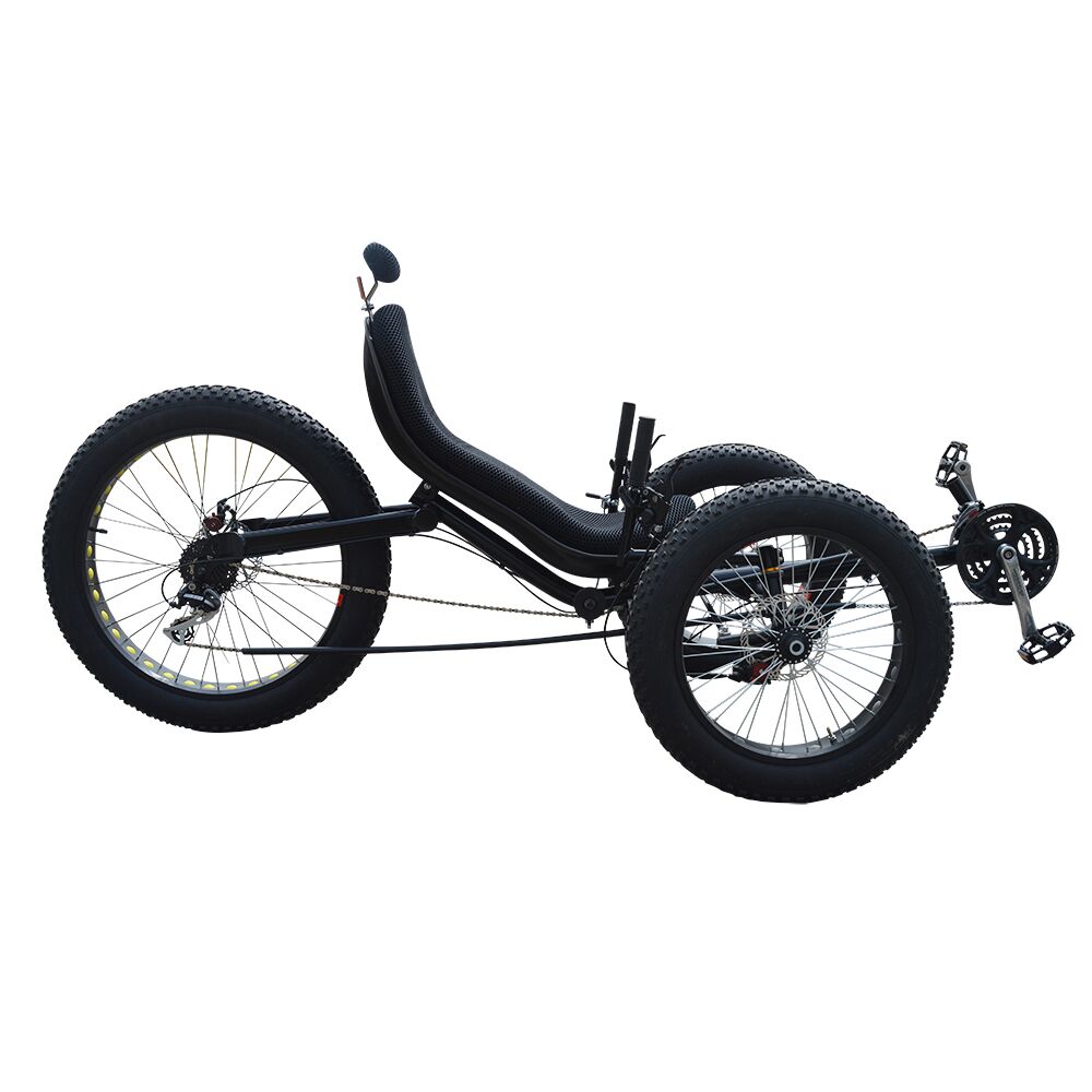 Front-Two-Wheel-Adult-Travel-