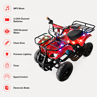 Kart électrique personnalisable haute performance pour adultes, 350W, transmission par chaîne, 2 batteries 20A, charge utile 150kg, pour la course en extérieur et les loisirs