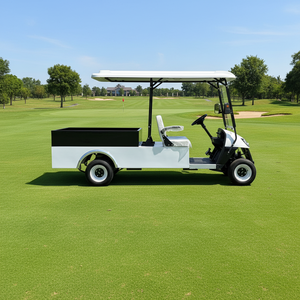 Voiturette de <span class=keywords><strong>golf</strong></span> électrique 2 places 48V/72V avec boîte de chargement, véhicule utilitaire agricole tout-terrain, certifiée DOT/EEC/GCC, haute qualité - Product Image 1