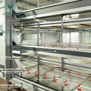 Gabbia per Allevamento Pulcini Tipo H Durevole a Basso Prezzo dalla Cina Nuova Condizione Automatica - Product Image 2