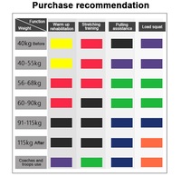 Bandas Elásticas de Resistencia TPE para Ejercicios de Fuerza y Asistencia en Dominadas, Set de Bandas Elásticas para Entrenamiento