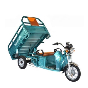 Tricycle à 3 roues d'occasion pour adultes avec moteur à batterie au plomb-acide 48V - Product Image 6