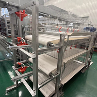 Nouveau système automatique de cages en acier pour poules pondeuses, équipement d'élevage avicole avec système d'alimentation et d'abreuvement