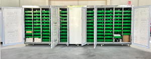 Sistema hidropónico de alimentación <span class=keywords><strong>Alfalfa</strong></span>/maíz Gabinete interior de plántulas - Product Image 6