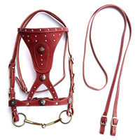 Endurance Équitation Bride Endurance Cheval Rouge Bride En Cuir Haute Qualité Premium Rub International