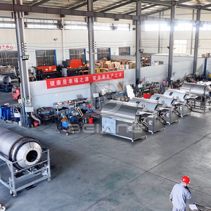 Linea di Lavorazione Continua ad Alta Capacità per Noci con Sistema di Controllo PLC per Attività di Snack Food - Product Image 4