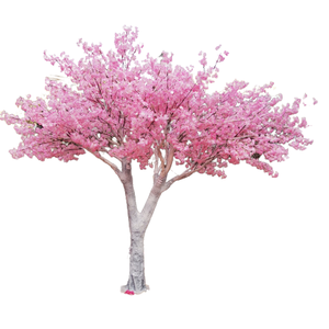 ต้นเชอรี่เทียมสีชมพูเฌอรี่ดอกไม้ต้นไม้สำหรับกลางแจ้ง - Product Image 1