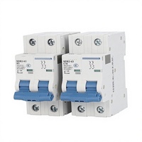 Interrupteur aérien NDB2-63, disjoncteur miniature 2P pour usage domestique, interrupteur principal de climatisation, micro-disjoncteur (2A4p), capacité de coupure de 10000A