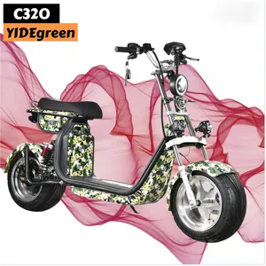 EEC Citycoco سكوتر للبالغين الذكية الكهربائية دراجة نارية 2 عجلة سكوتر ثلاثي العجلات 1500W فرش موتور تيار مباشر 200 كجم 35-55 كجم