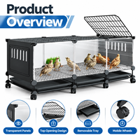 Boîte d'élevage transparente pour volailles, cage d'élevage pour poussins, canards, cailles, élevage, ferme, incubateur