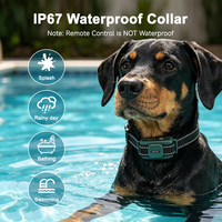 Neues Modell Anti-Bell Wasserdichtes Hundetrainingshalsband mit Piepton, Vibration, Schock, Sprachfunk, 300m 500m Elektrischer Zaun, Nylon, Edelstahl