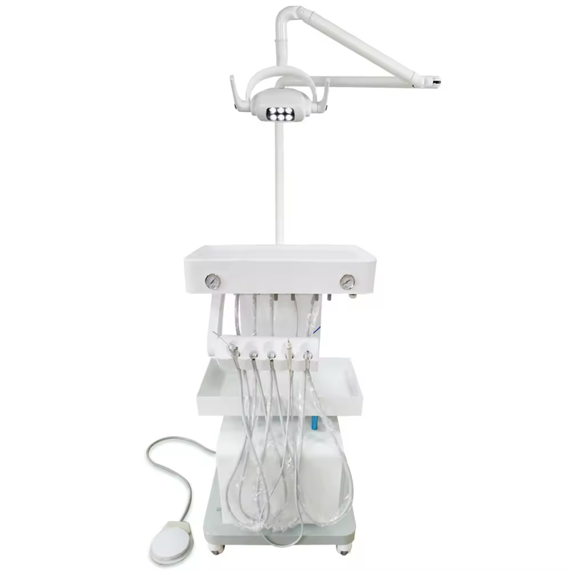 Medical Veterinary Supplies Digital Radiography Stationary