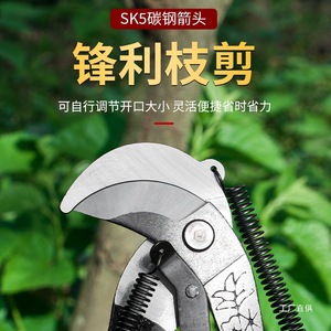 กรรไกรตัดแต่งกิ่งสแตนเลสแบบสปริง สำหรับตัดแต่งต้นไม้และเก็บเกี่ยวผลไม้ - Product Image 4