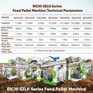 RICHI <span class=keywords><strong>Machine</strong></span> de fabrication de granulés d'aliments pour porcs, bovins et ovins – Créez votre propre machinerie industrielle économique pour l'alimentation des cochons de Guinée - Product Image 2