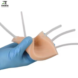 Modelo de Práctica IV para Extracción de Sangre Intravenosa y Entrenamiento de Inyección Cutánea Multipropósito, Simulador de Ciencias Médicas - Product Image 4