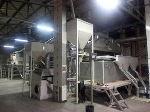 Vente directe d'usine, graines de céleri séchées FD de qualité supérieure, 100% pures et naturelles, certifiées ISO22000, produites en Égypte - Product Image 6