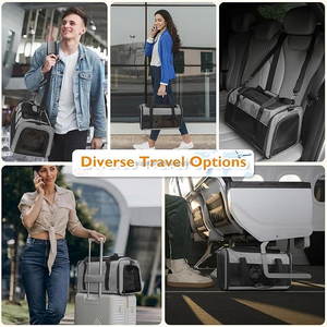 Yumuşak evcil hayvan taşıma çantası küçük köpekler kediler için havayolu onaylı seyahat çantası yan cepler hava akış Mesh eğlence tarzı yavru taşıyıcılar - Product Image 6