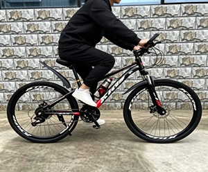 <span class=keywords><strong>Bicicleta</strong></span> de Montaña MTB al por Mayor con Cuadro Soldado con Argón, Pintura en Bloques de Color, Eje de Pedalier Sellado, 21 Velocidades, Horquilla de Suspensión, Freno de Disco, Cómoda y Ligera - Product Image 2
