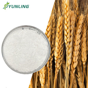 Precio <span class=keywords><strong>de</strong></span> Fábrica: Harina <span class=keywords><strong>de</strong></span> Gluten <span class=keywords><strong>de</strong></span> <span class=keywords><strong>Trigo</strong></span> Orgánica, Proteína <span class=keywords><strong>de</strong></span> <span class=keywords><strong>Trigo</strong></span> Orgánica en Polvo - Product Image 1