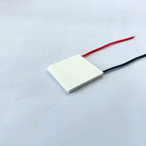 40 X40mm TEC112710 Thermo elektrischer Kühler Peltier Kühl-und Heiz zyklus modul für PCR