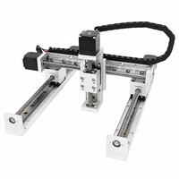 Mini Brazo Robótico Industrial, Manipulador con Plataforma XY de 2 Ejes, Sistema de Pórtico Lineal con Motor y Rodamientos para Máquina de Moldeo por Inyección