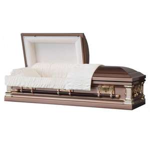 Заводская поставка OEM/ODM экономичный похоронный погребальный гроб в Европейском/американском/африканском стиле Прочный Настраиваемый стальной гроб - Product Image 1