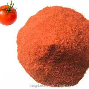 Fabricante por atacado de fábrica na China Pó de tomate desidratado