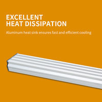 Barre lumineuse LED UV en aluminium IP65 personnalisée 30W avec spectre complet pour la culture hydroponique et le soutien de la floraison