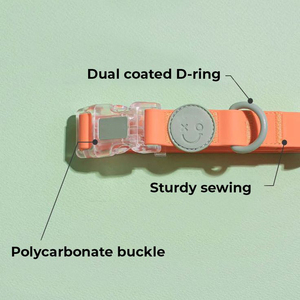 Collar para Perro de PVC Impermeable con Remaches, Personalizado con Logotipo, de Lujo, Color Liso, <span class=keywords><strong>Grabado</strong></span>, Duradero y Bonito, para <span class=keywords><strong>AirTag</strong></span> - Product Image 5