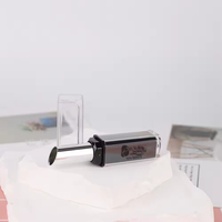Tube de rouge à lèvres vide et fin, personnalisable avec logo, en plastique transparent rechargeable, avec capuchon argenté incliné, pour marque privée