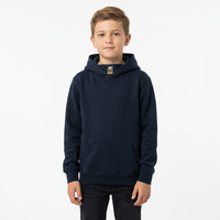 Vente en gros de sweats à capuche pour enfants avec logo personnalisé, couleur unie, coton doux et épais, coupe-vent, anti-rétrécissement, poche kangourou, pour l'automne et l'hiver