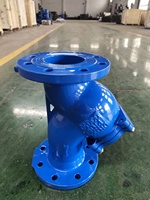 Filtre Y DN 25 Type Y Filtre/Filtre Y