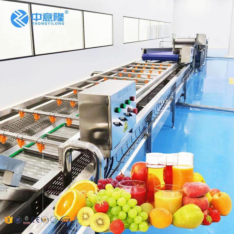 Commercial Fresh Fruit Juice Extracting Plant