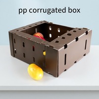 Plaques ondulées en plastique PP, panneaux alvéolés en PP, boîtes d'emballage en plastique, boîtes de manutention