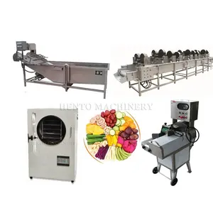 Fruit and Vegetable Washing Drying Line / Commercial Electric Vegetable Cut Machine / Freeze Dried Fruits and Vegetables Line