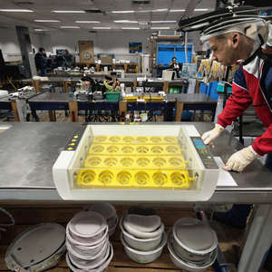 Incubateur à œufs automatique <span class=keywords><strong>HHD</strong></span> WONEGG Classic <span class=keywords><strong>24</strong></span> œufs avec contrôle de la température et retournement des œufs - Product Image 3