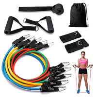 Ensemble de 11 bandes de résistance avec 5 tubes d'exercice empilables, ancre de porte et sac de transport pour l'entraînement physique en gros