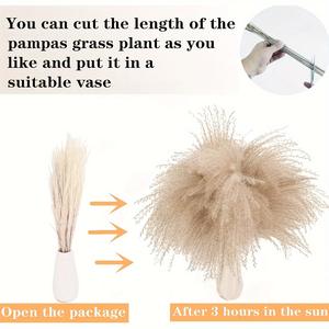 Ramo de flores secas mixtas G110 que incluye hierba de Pampa, cañas pequeñas Lagurus Ovatus, plantas de cola de caballo, <span class=keywords><strong>Cortaderia</strong></span> Selloana - Product Image 4