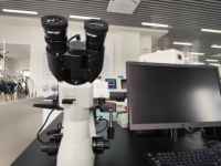 Factory Direct: Advanced Inverted Metallographic Microscope | 500x Zoom, CE Certified, Auto-Software Included (Ships Worldwide)