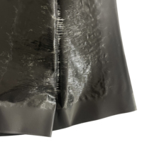 Couverture de colle pour souris jetable noire non toxique de haute qualité personnalisée 60cm 120cm piège à colle pour rat couverture magique souris collante