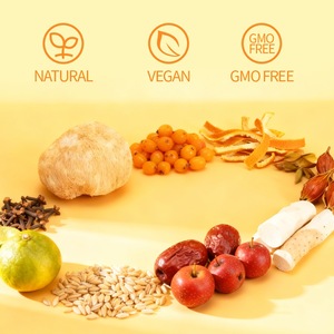 Mélange de tisanes à l'Hericium Erinaceus pour la vitalité quotidienne et le rafraîchissement botanique – Série Formule Professionnelle Marché Français - Product Image 6