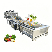 Volledig automatische wasmachine voor bladgroenten en fruit met luchtbel-sproeisysteem, geschikt voor sojabonen & tarweverwerking, SUS304 materiaal