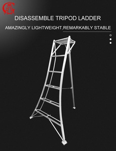 Escalera de Aluminio para Cosecha de Cerezas en Huertos, de 10 Peldaños, Marca Triangle Agriculture - Product Image 6
