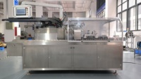 Machine automatique de mise en carton verticale haute précision pour sachets, sachets stick, boîtes, en plastique/papier/film/feuille, pour petite ligne d'emballage en carton