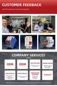 Disjoncteur différentiel (RCCB) miniature Westhomes <span class=keywords><strong>DX3</strong></span>-<span class=keywords><strong>ID</strong></span> 4P AC <span class=keywords><strong>63A</strong></span> 6kA à coupure de courant de terre en cuivre - Product Image 5