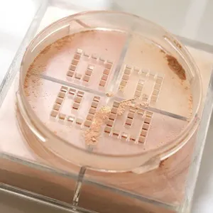 Cosmetico personalizzato 4 colori vegan private label impostazione polvere evidenziatore compatto trucco cipria in polvere