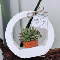 Boîtes cadeaux rectangulaires en carton blanc, portables, avec fenêtre, finition mate, recyclables, pour arrangements floraux et plantes succulentes - Vente en gros